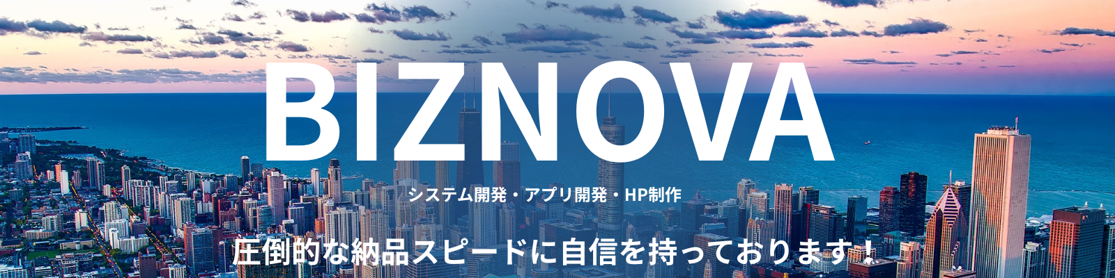 BIZNOVAの圧倒的な開発力をお楽しみください